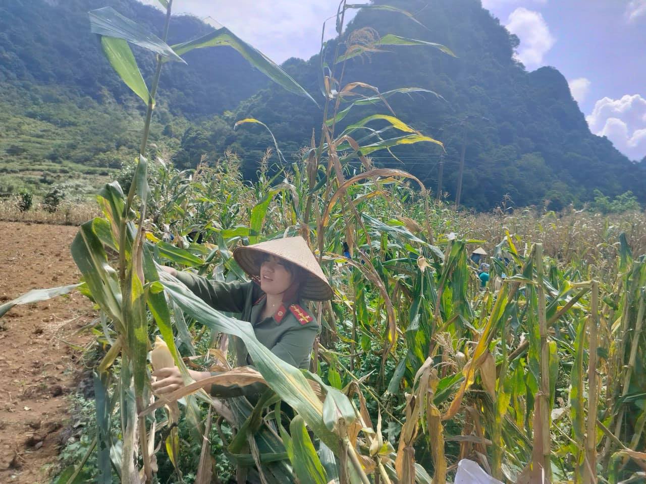 anh tin bai